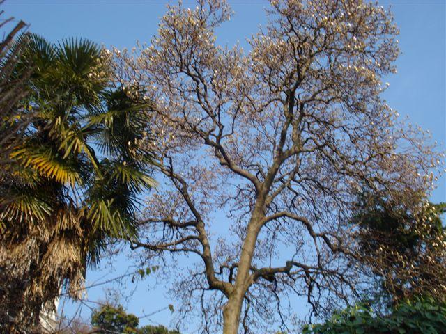 36Winter 2010-2011 416